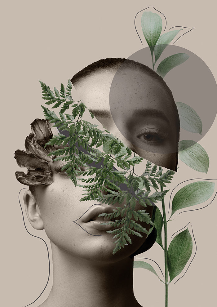 Lili Collection Creative Art Series