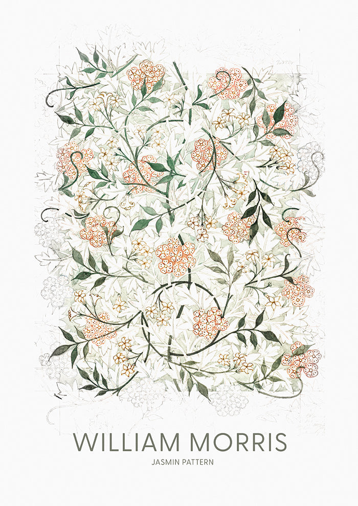 Jasmine