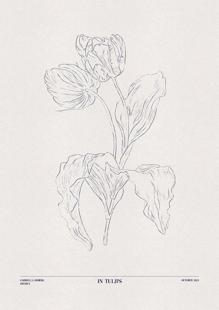 In Tulips blue
