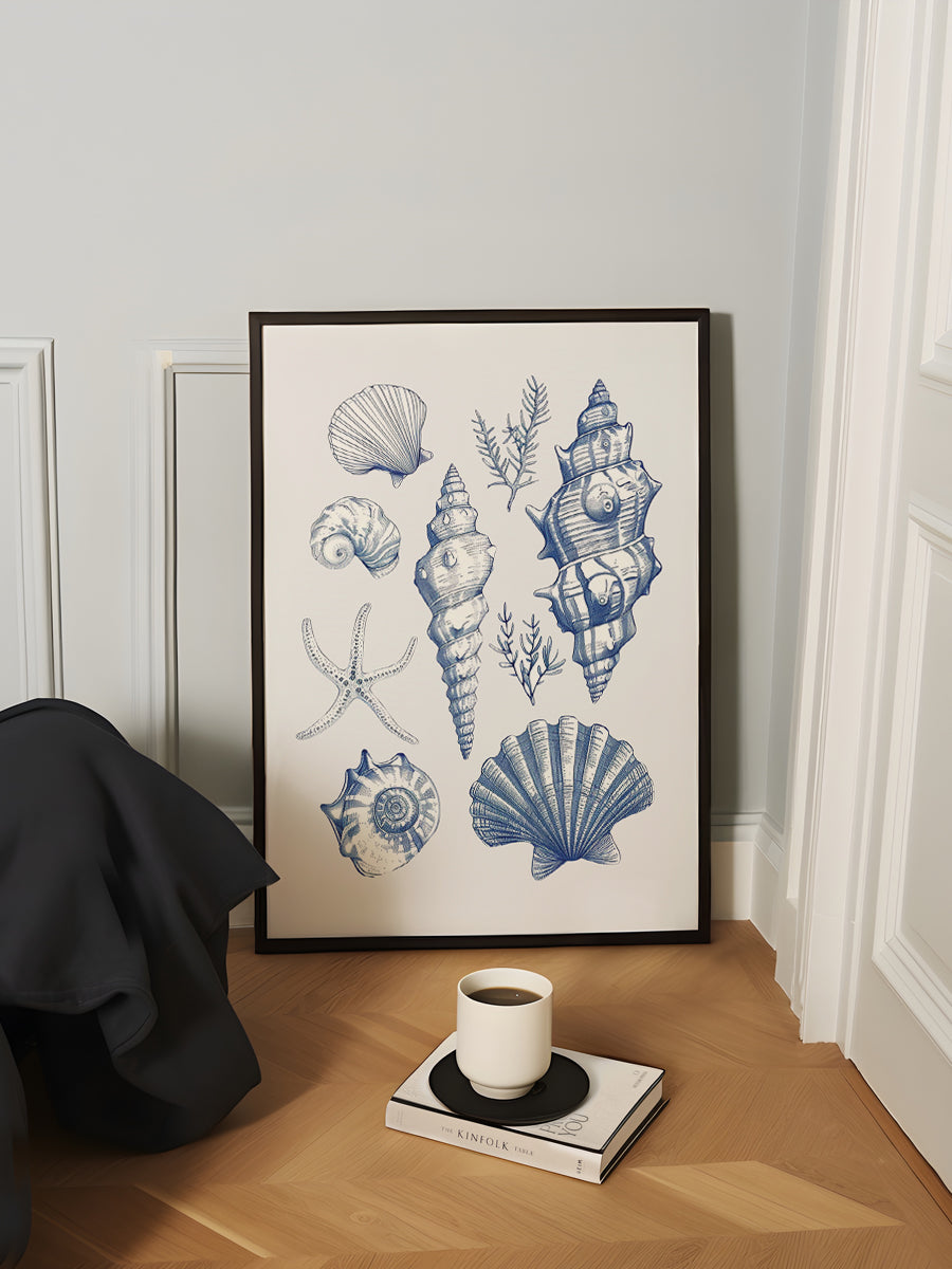 Shell Collage