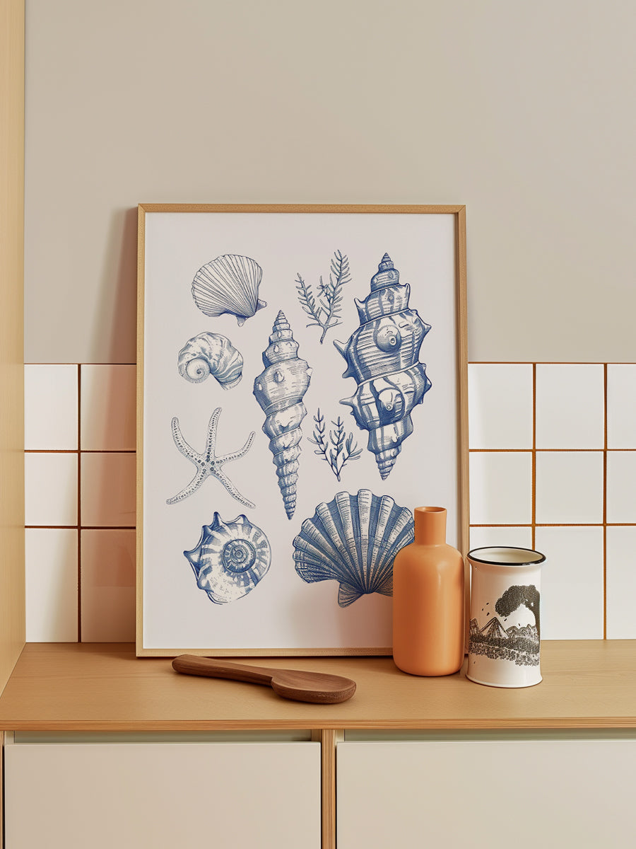 Shell Collage