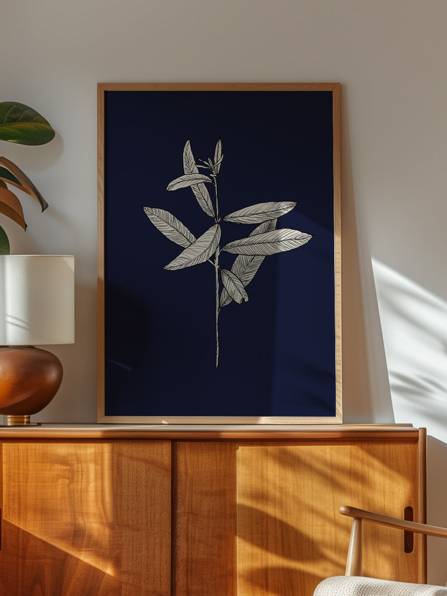 Plant with Delicate Leaves Navy