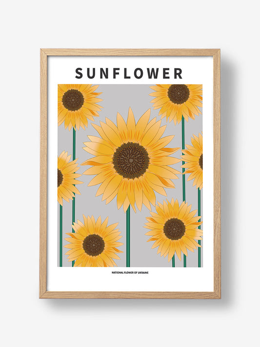 Sunflower - National flower och Ukraine