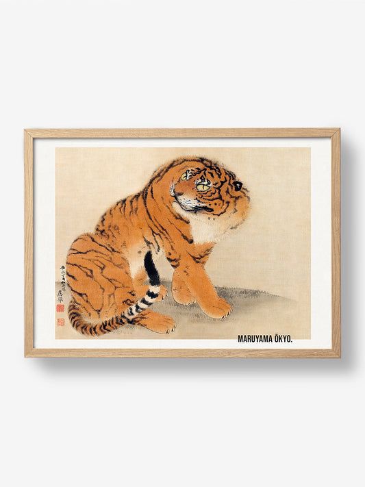 Sitting Tiger