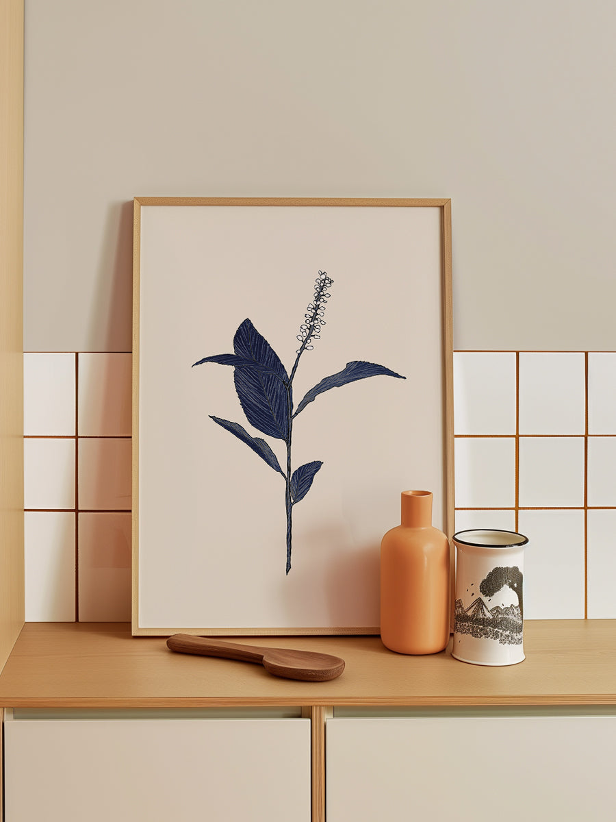 Plant with Delicate Leaves
