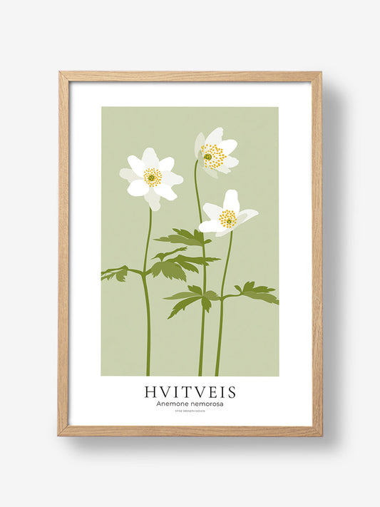 Hvitveis